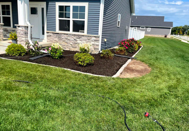lawn care and landscaping in a residential house outdoor